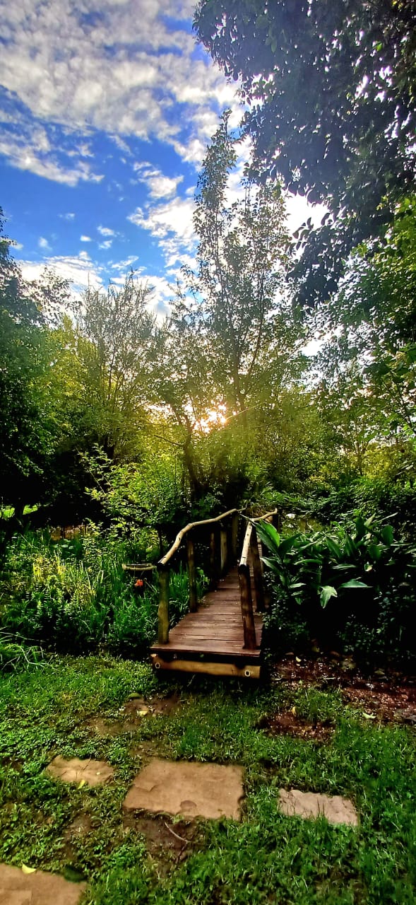 Wooden bridge in the garden