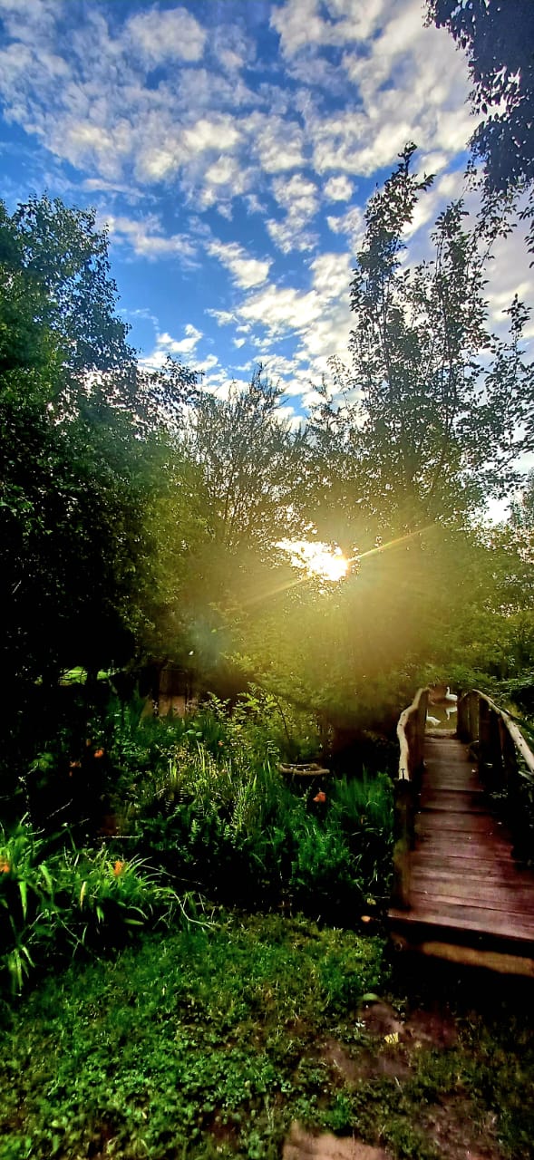 Sunset at garden bridge